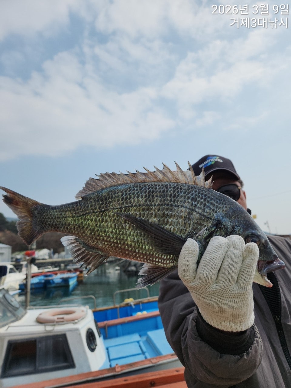 ����ڰ� �ø� �̹���