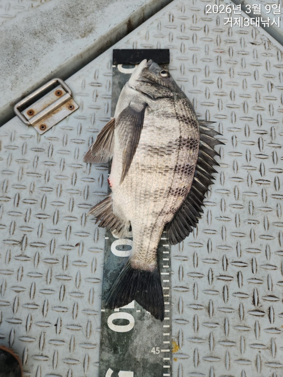 ����ڰ� �ø� �̹���