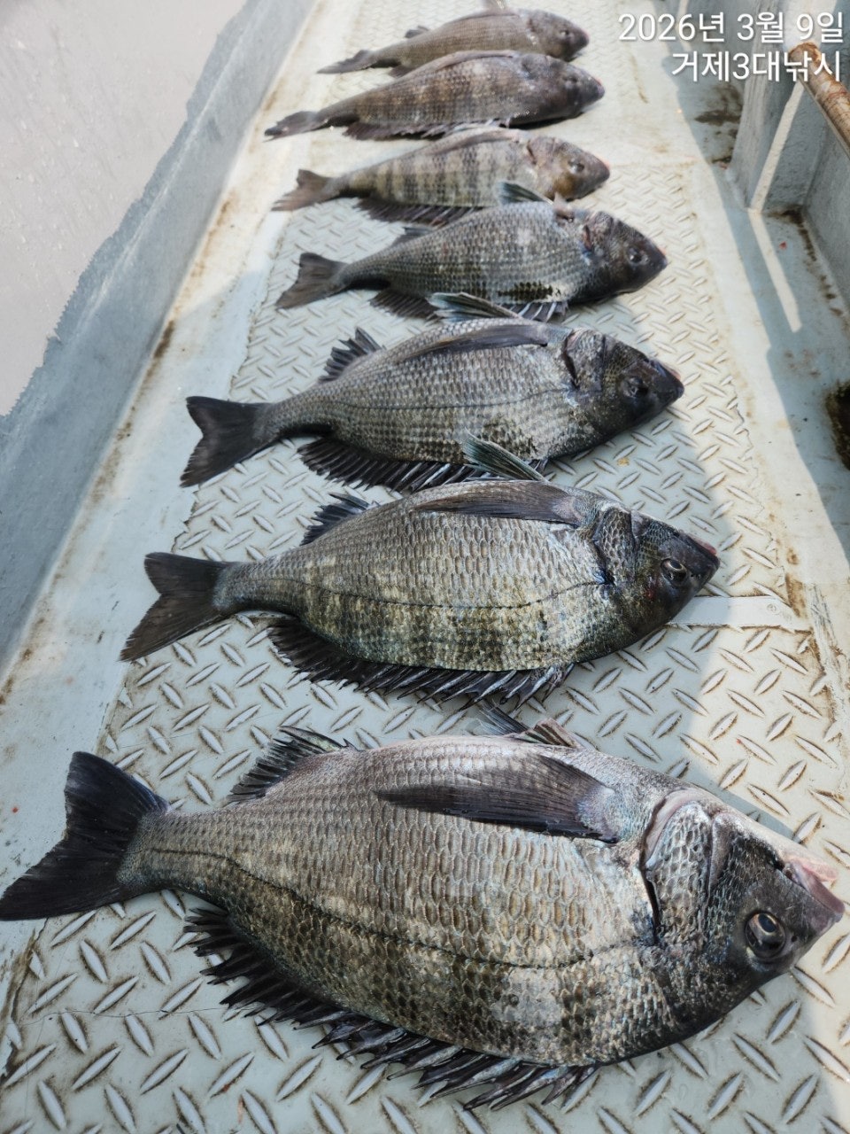 ����ڰ� �ø� �̹���