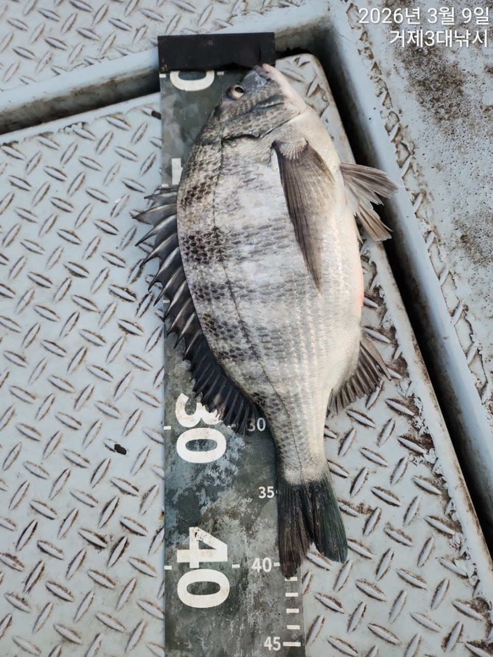 ����ڰ� �ø� �̹���