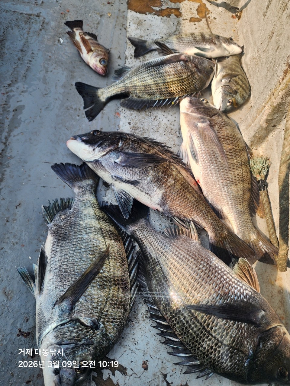 ����ڰ� �ø� �̹���