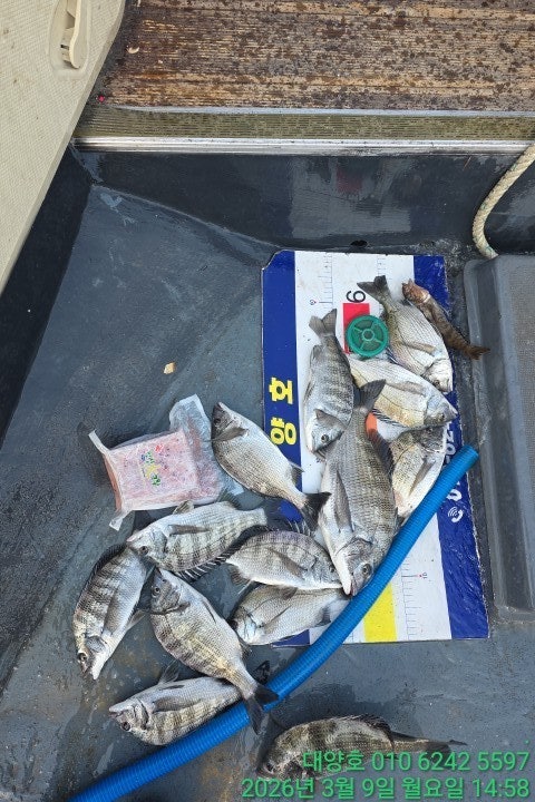 ����ڰ� �ø� �̹���