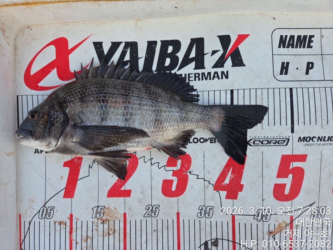 ����ڰ� �ø� �̹���