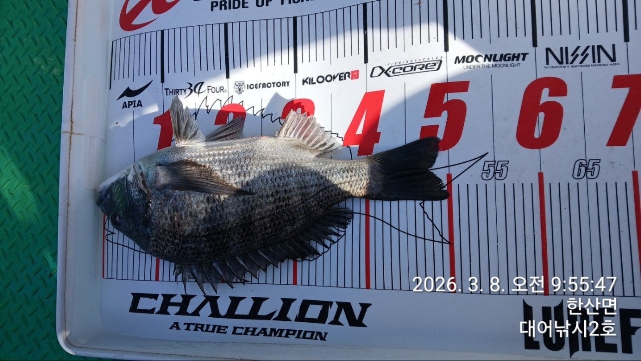 ����ڰ� �ø� �̹���