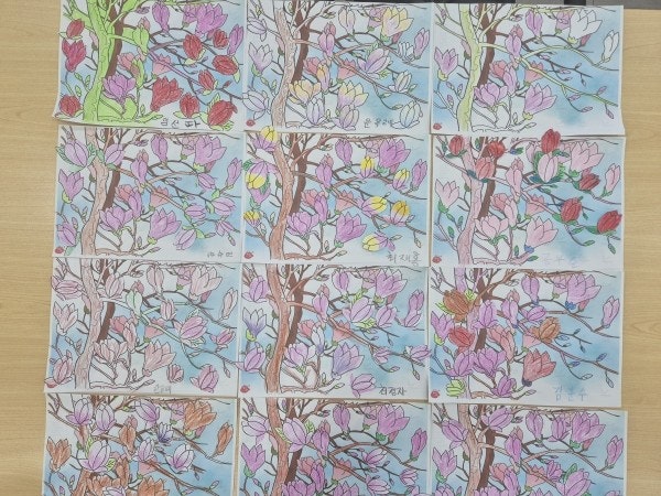 사용자가 올린 이미지