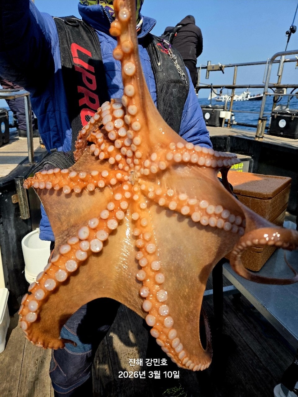 ����ڰ� �ø� �̹���