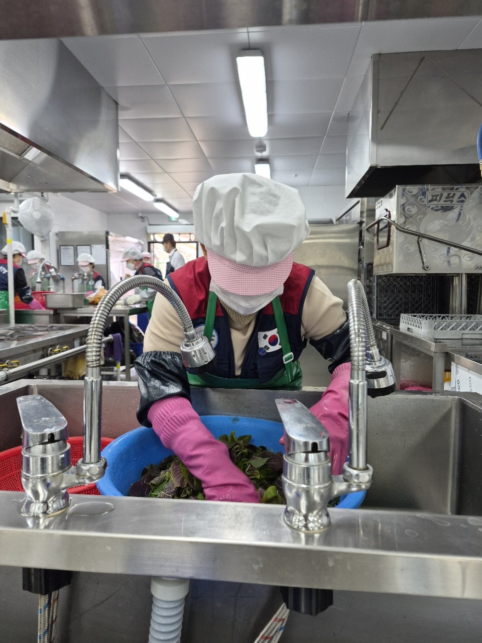 사용자가 올린 이미지