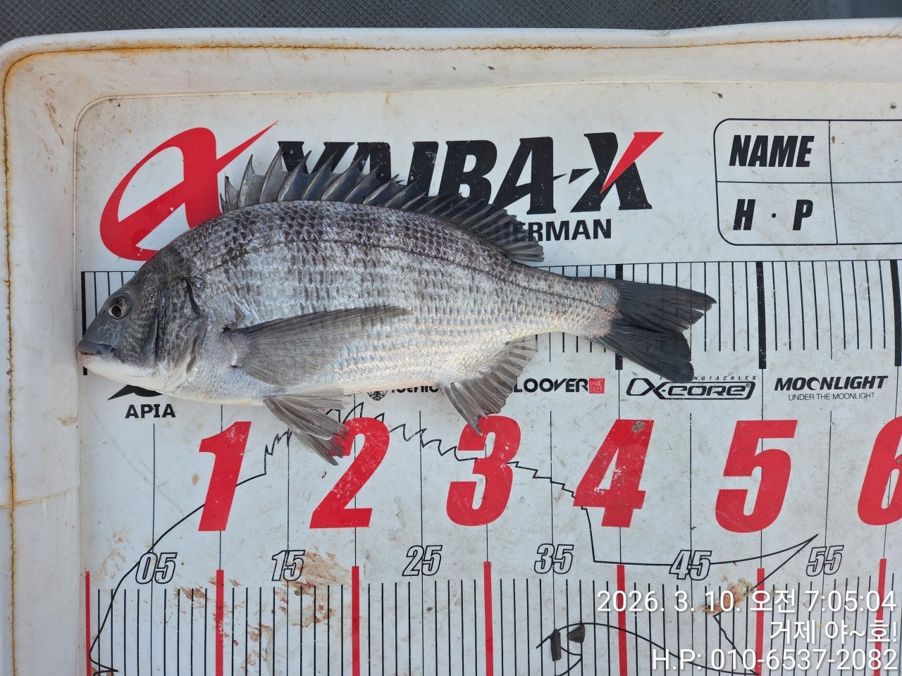 ����ڰ� �ø� �̹���