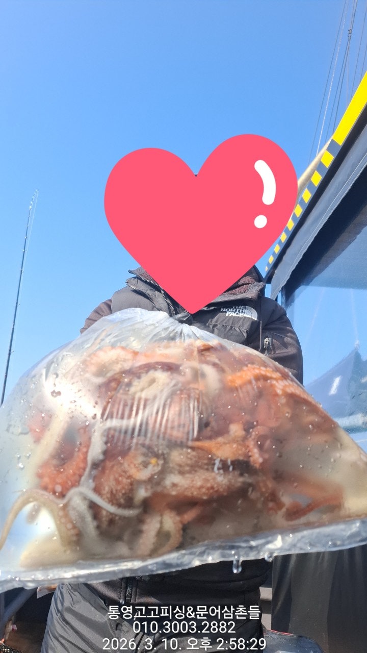 ����ڰ� �ø� �̹���