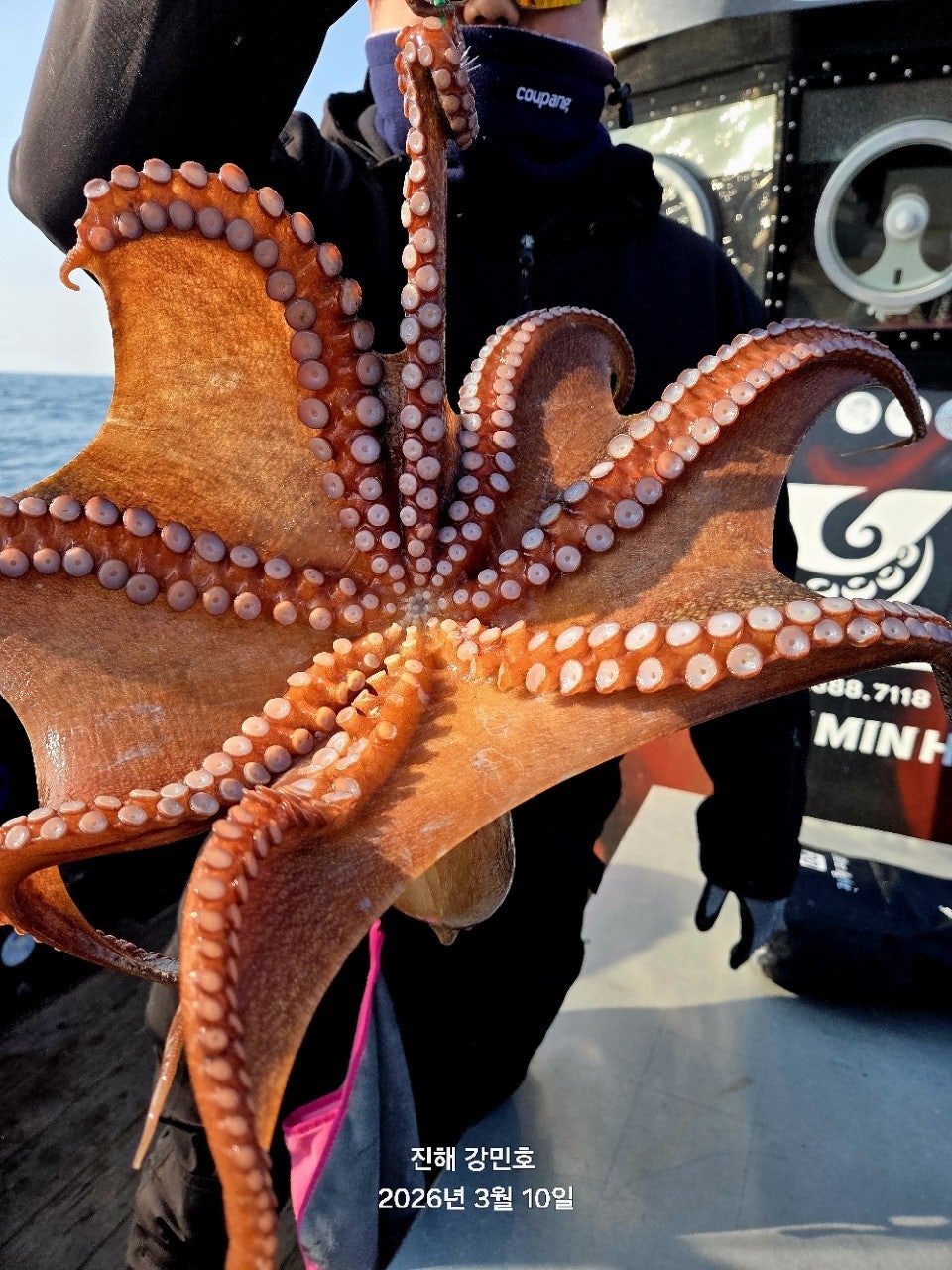 ����ڰ� �ø� �̹���