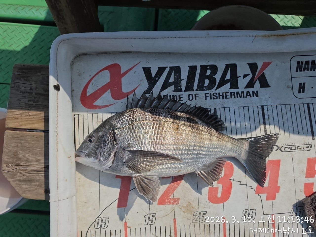 ����ڰ� �ø� �̹���