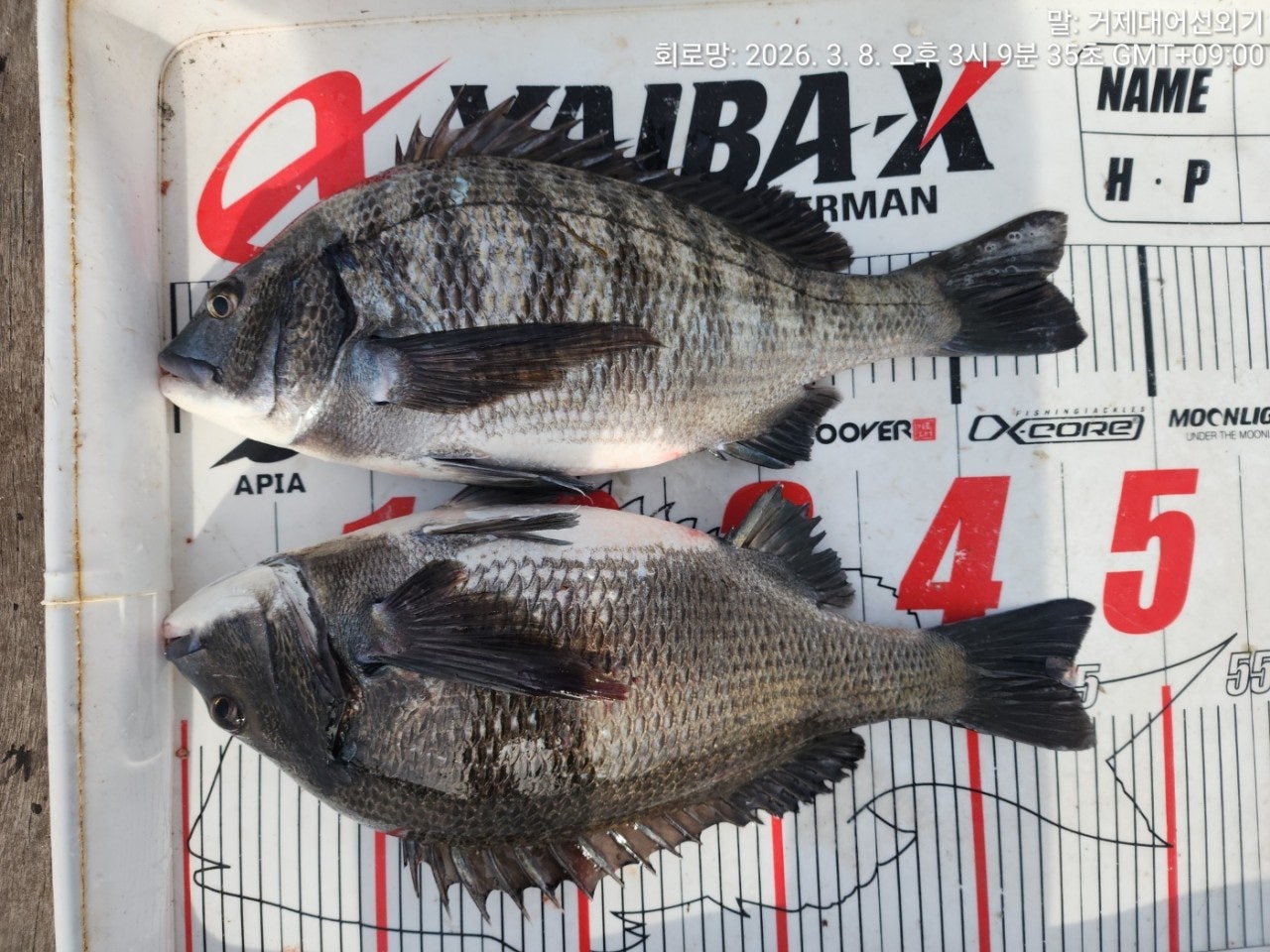 ����ڰ� �ø� �̹���