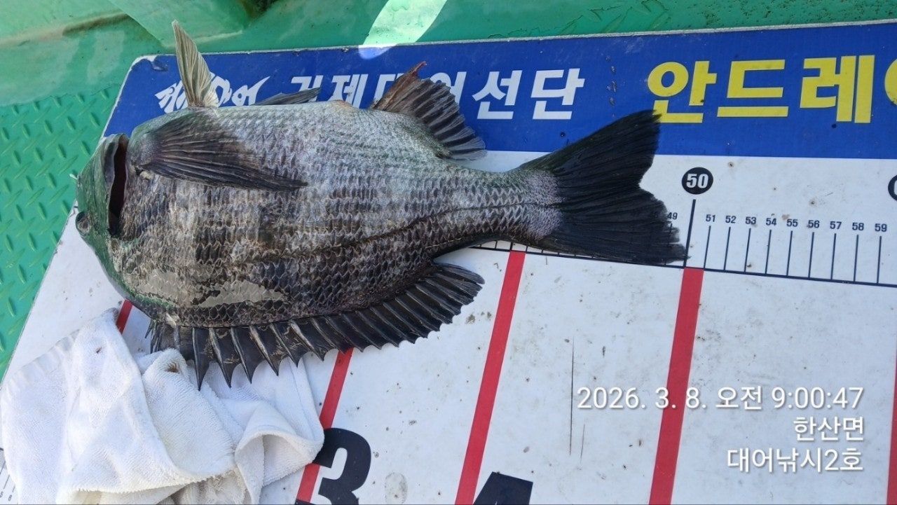 ����ڰ� �ø� �̹���