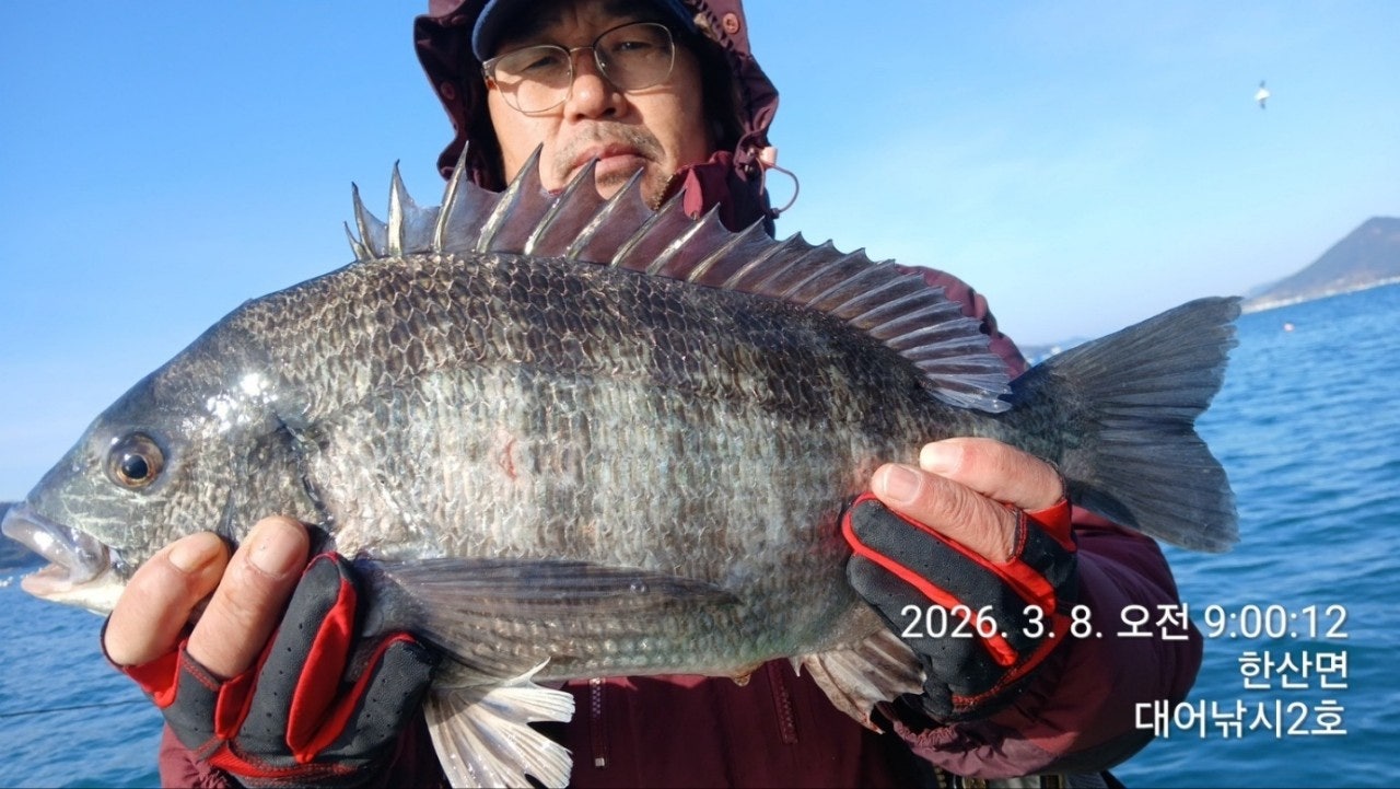 ����ڰ� �ø� �̹���