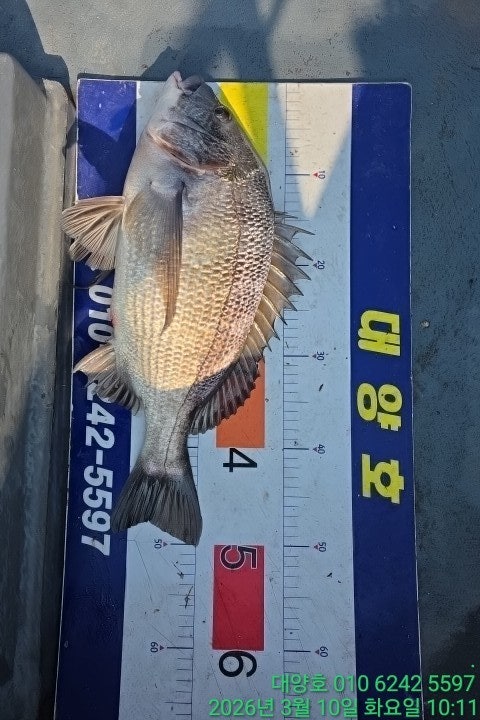 ����ڰ� �ø� �̹���