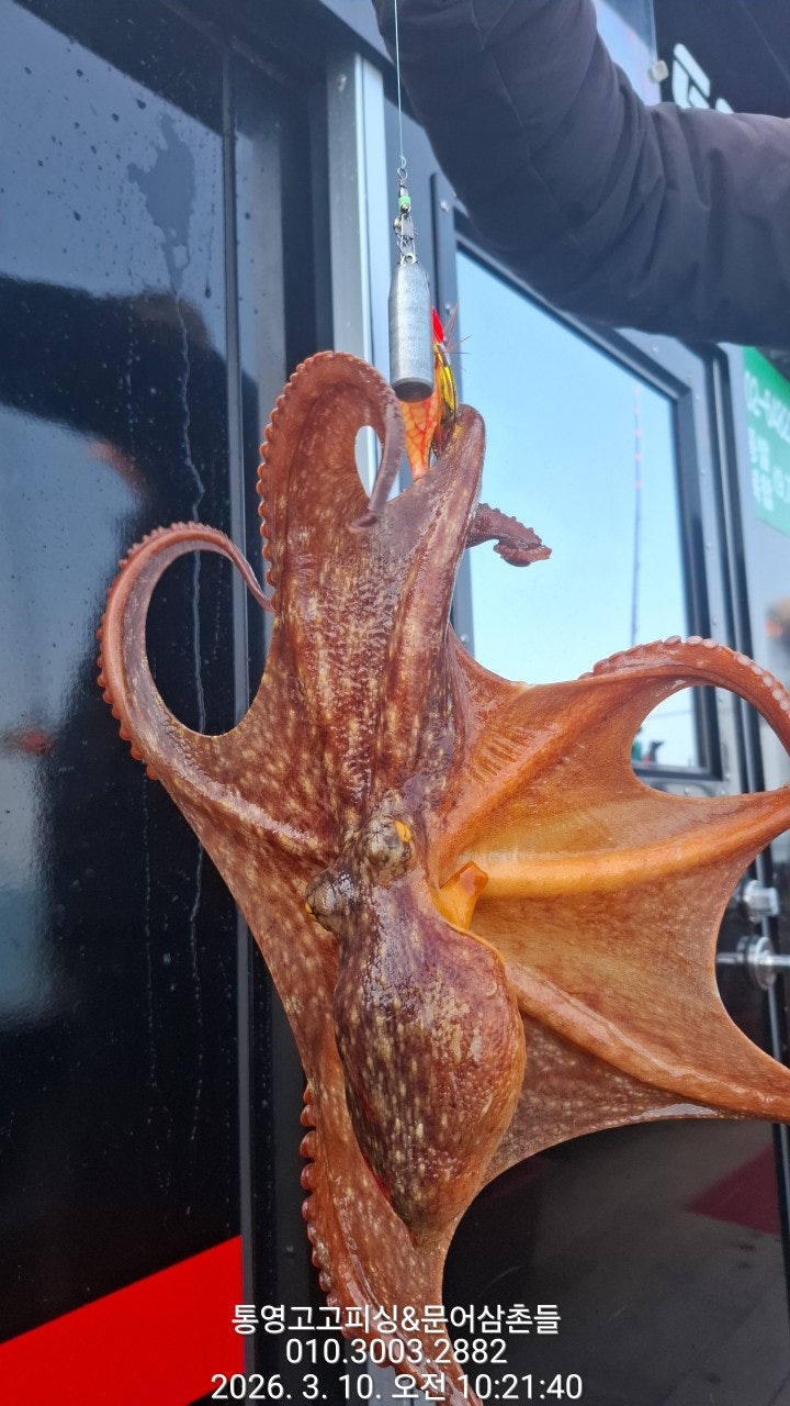 ����ڰ� �ø� �̹���