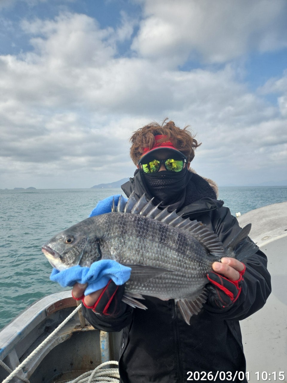 ����ڰ� �ø� �̹���