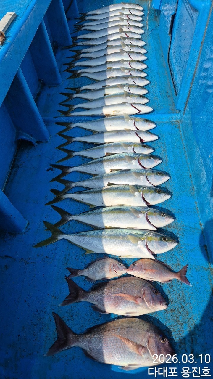 ����ڰ� �ø� �̹���