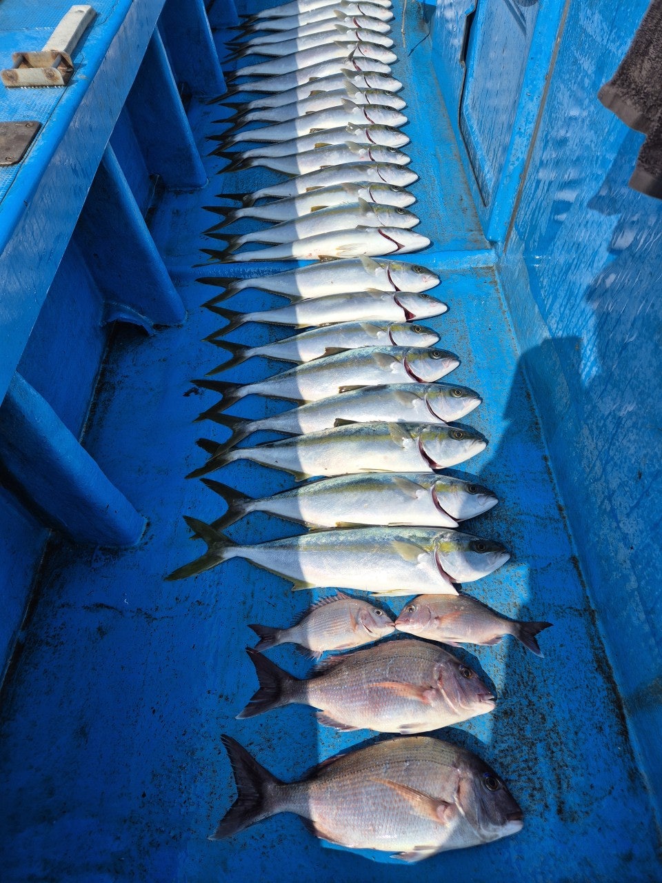 ����ڰ� �ø� �̹���