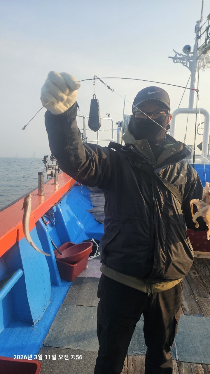 ����ڰ� �ø� �̹���