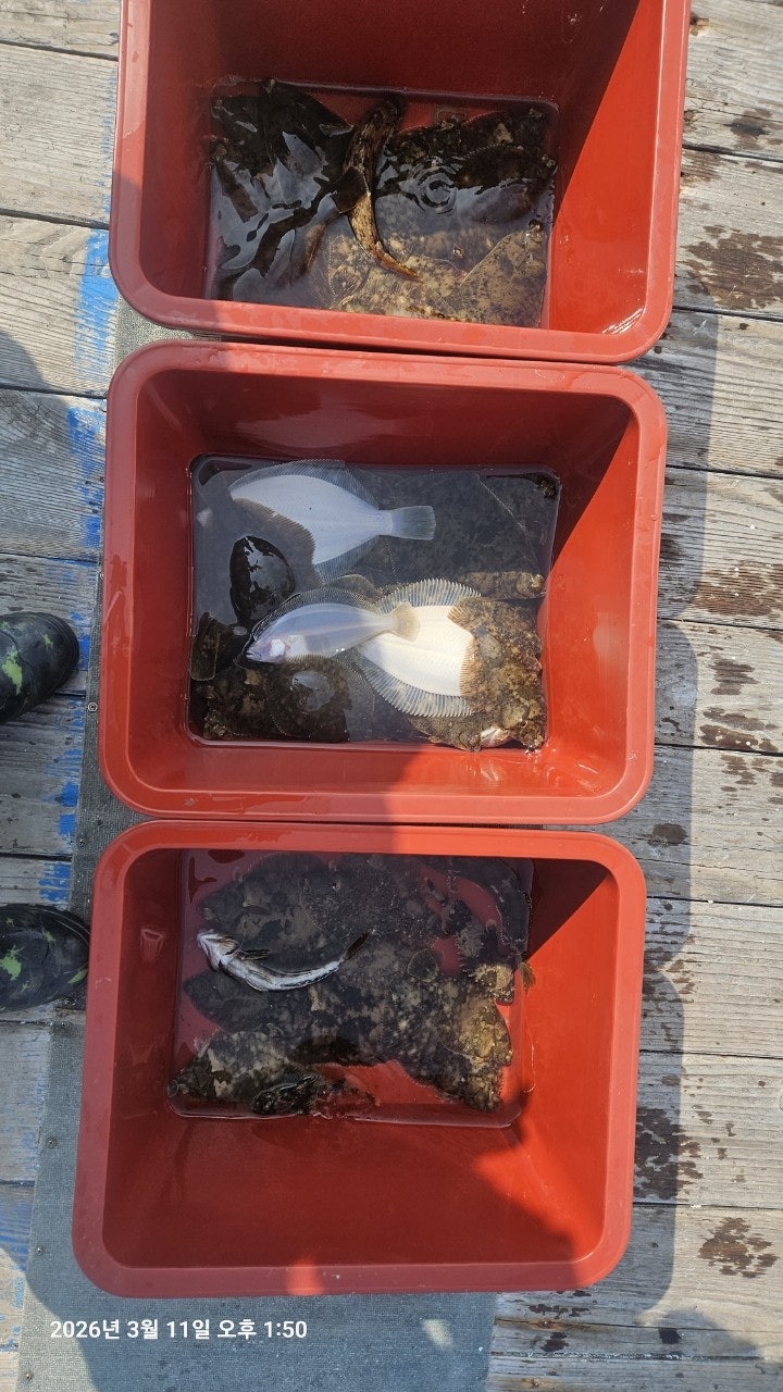 ����ڰ� �ø� �̹���