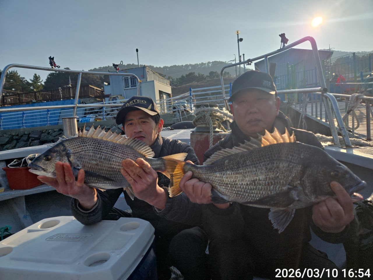 ����ڰ� �ø� �̹���