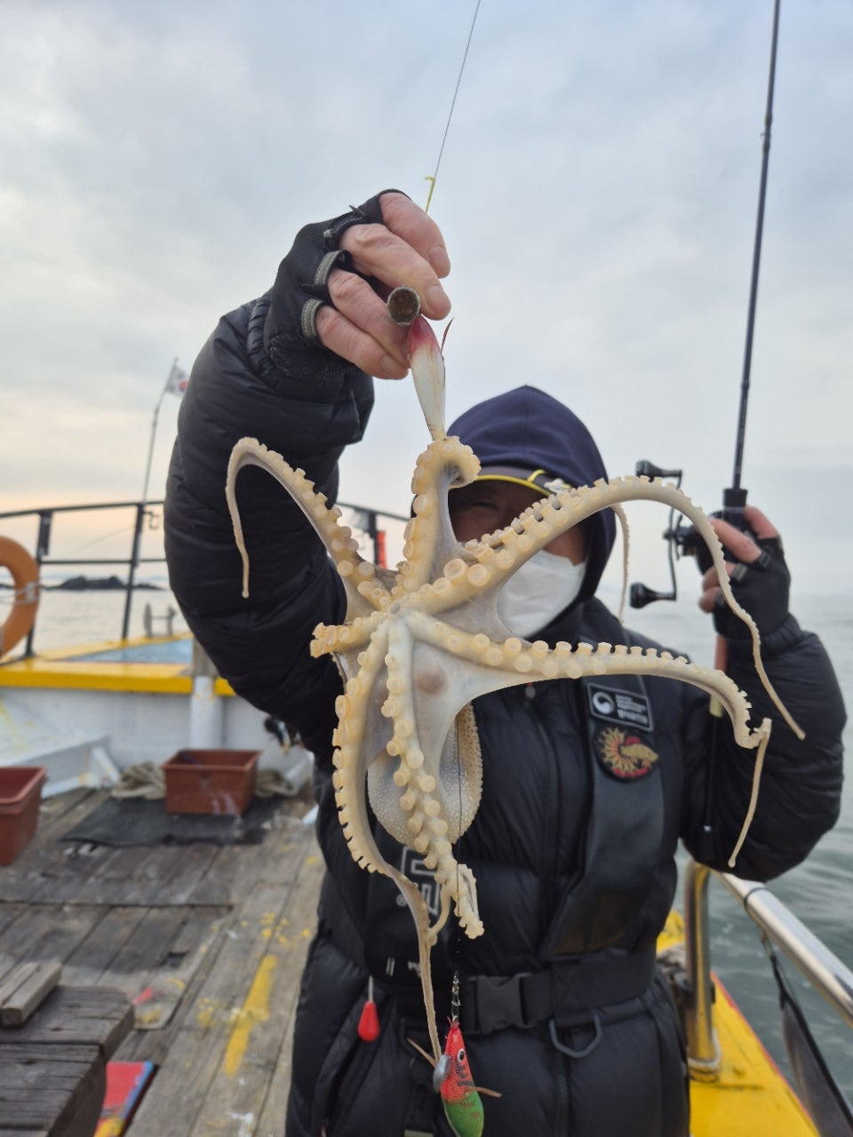 사용자가 올린 이미지