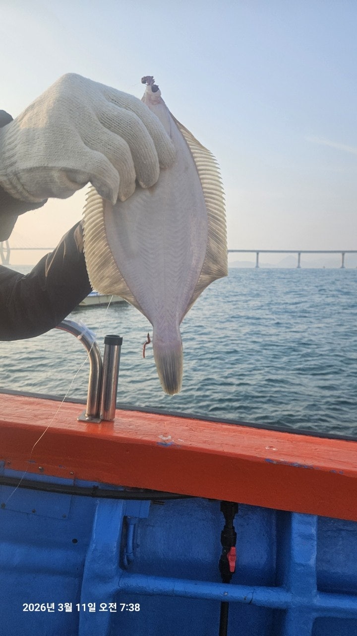 ����ڰ� �ø� �̹���