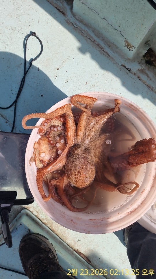 ����ڰ� �ø� �̹���