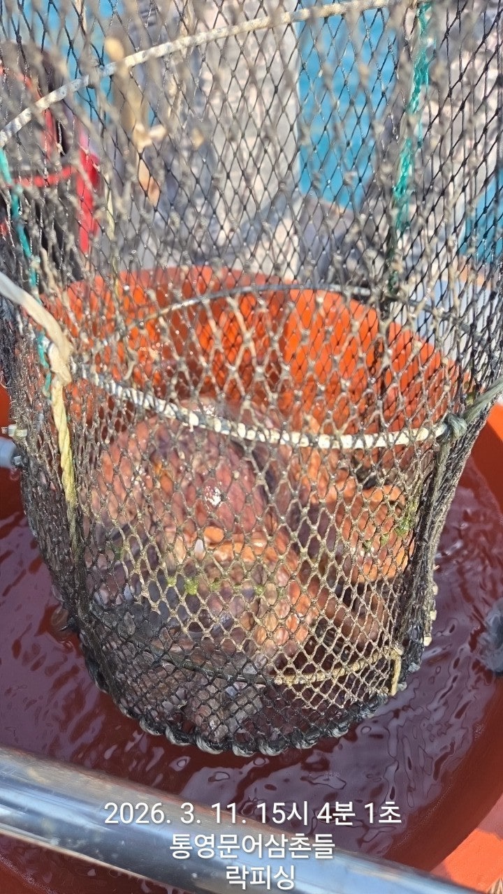 ����ڰ� �ø� �̹���