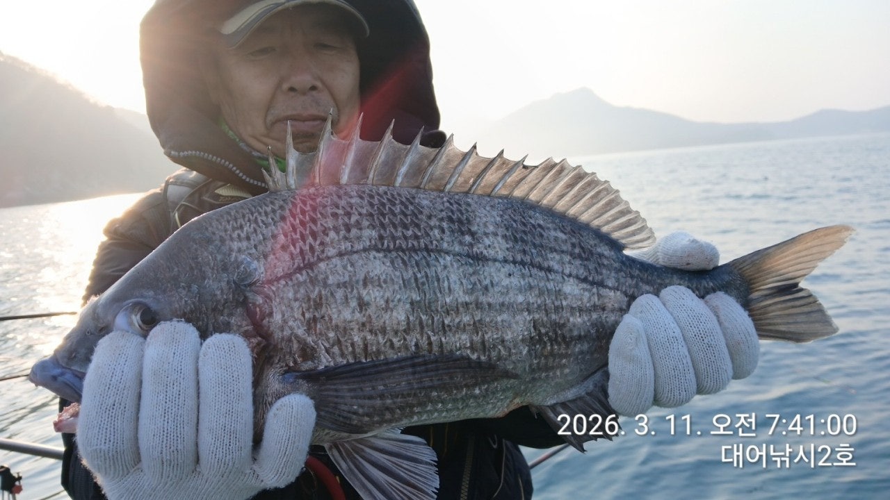 ����ڰ� �ø� �̹���