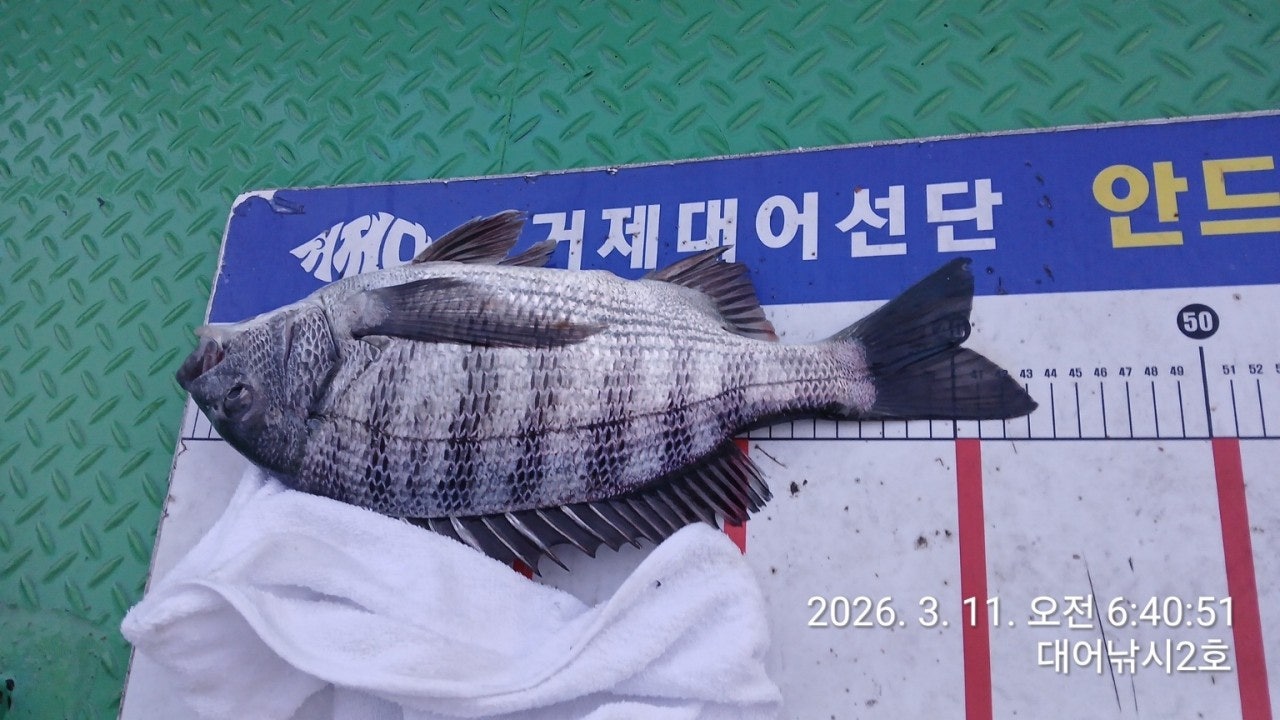 ����ڰ� �ø� �̹���