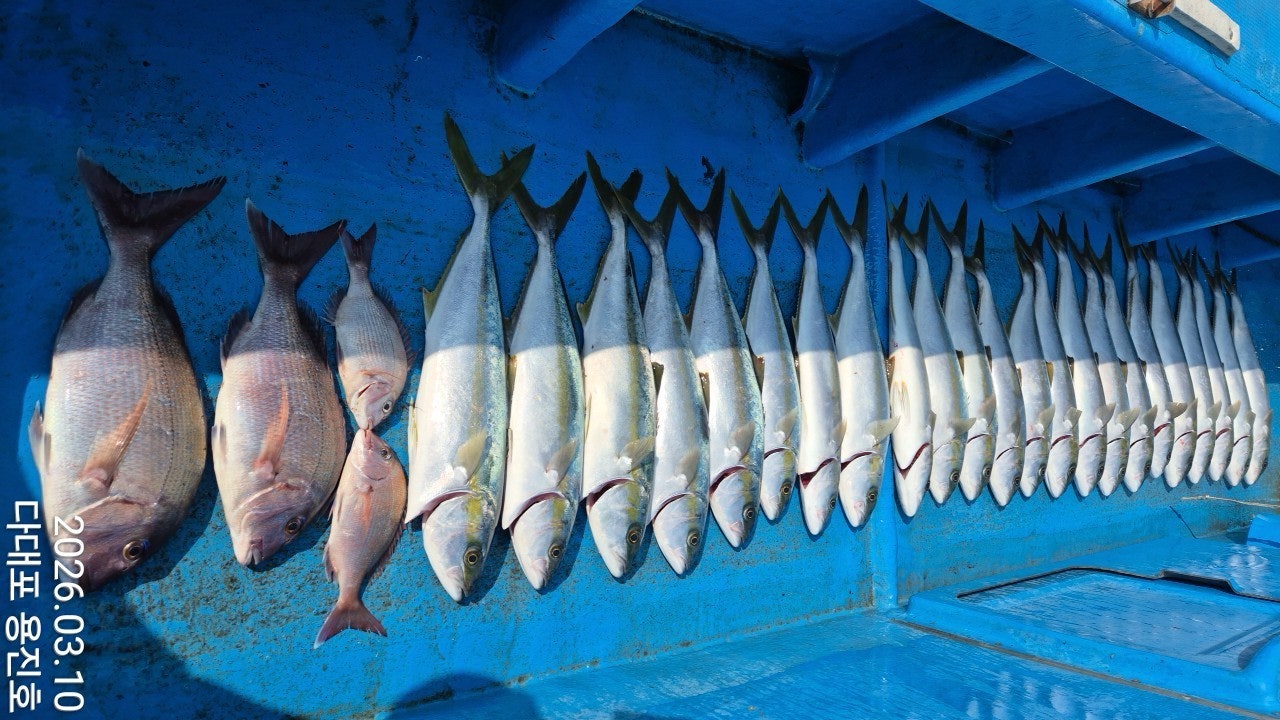 ����ڰ� �ø� �̹���