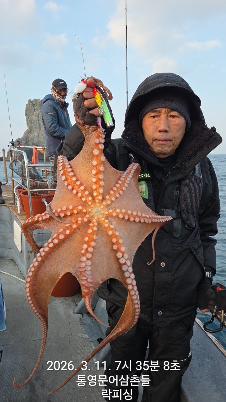 ����ڰ� �ø� �̹���