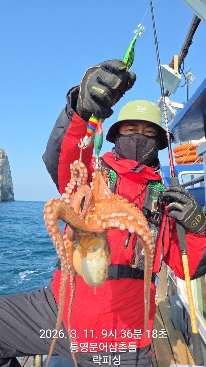 ����ڰ� �ø� �̹���