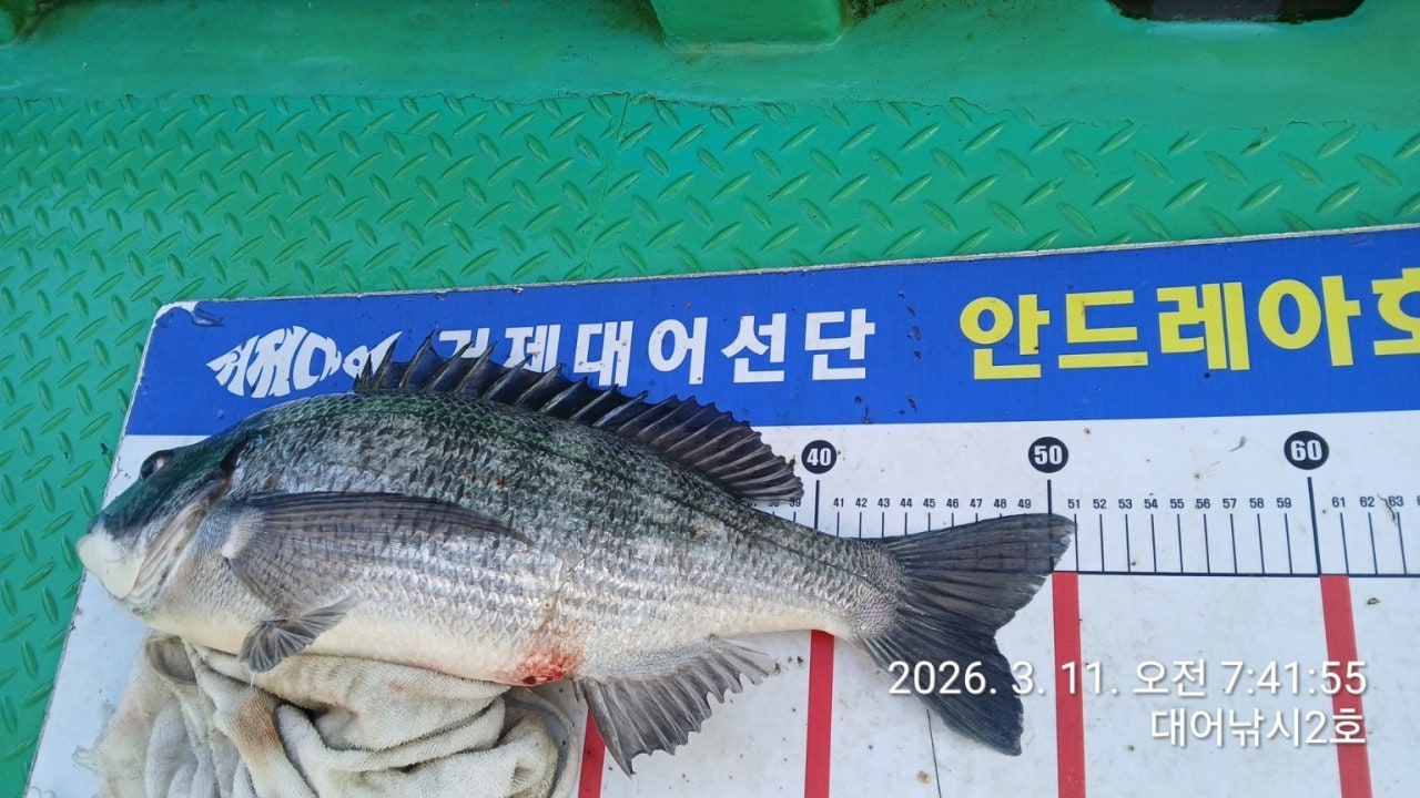 ����ڰ� �ø� �̹���