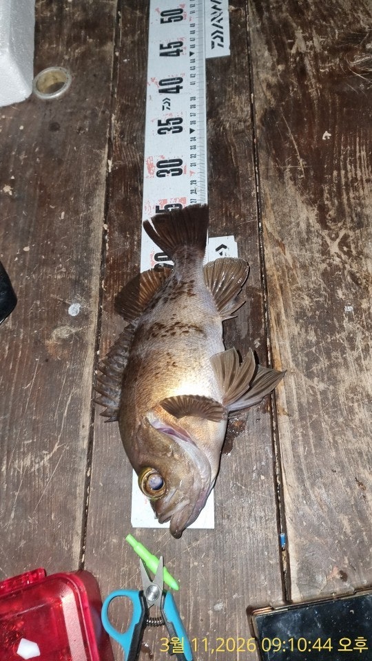 ����ڰ� �ø� �̹���