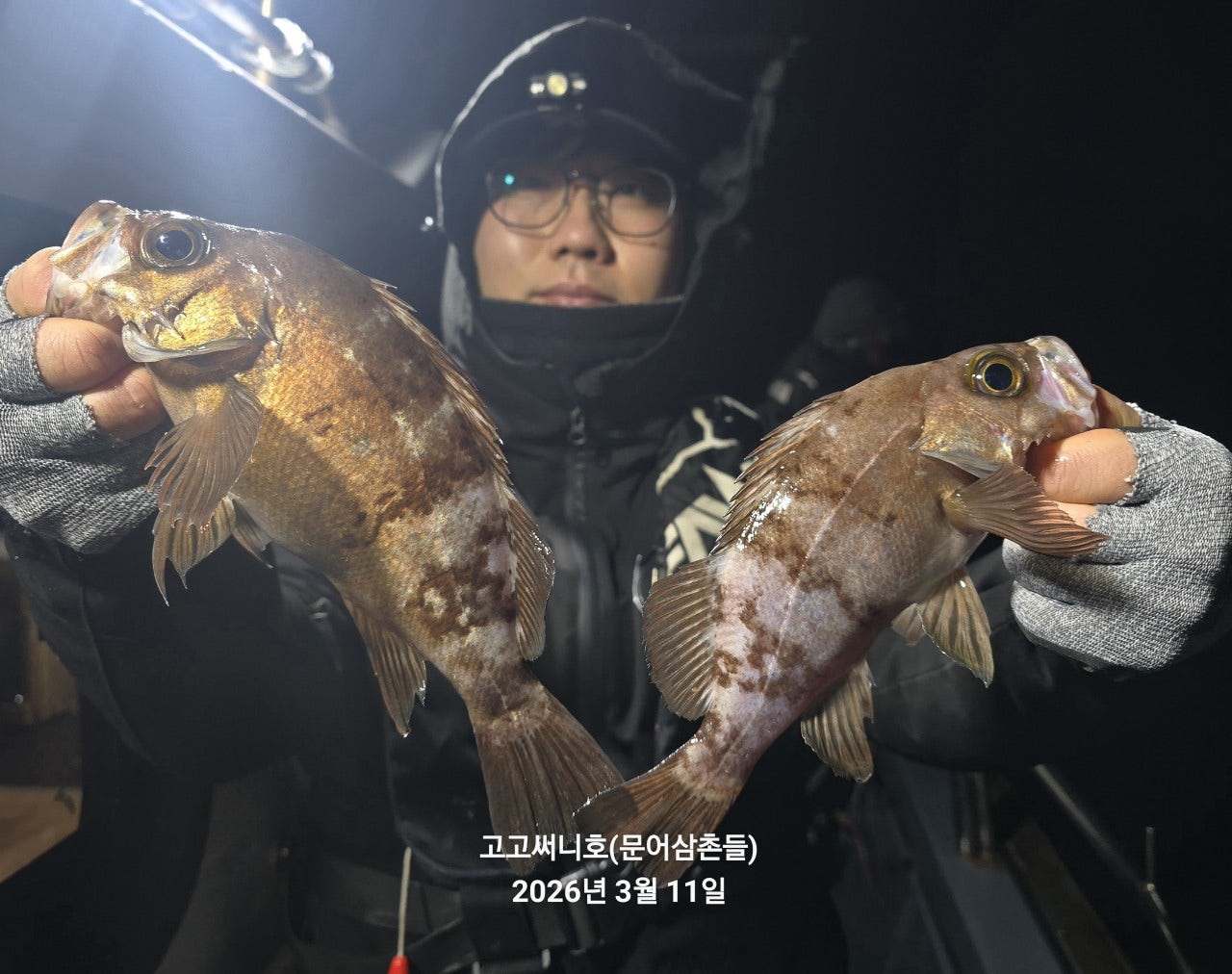 ����ڰ� �ø� �̹���