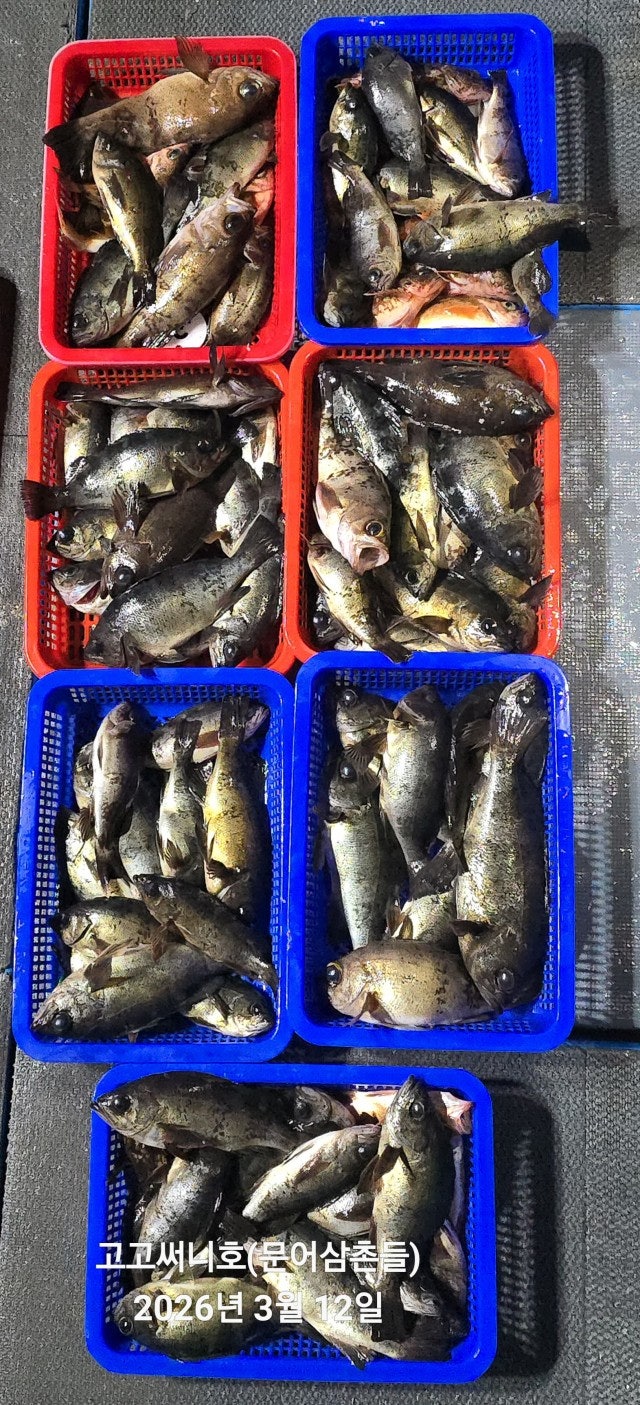 ����ڰ� �ø� �̹���