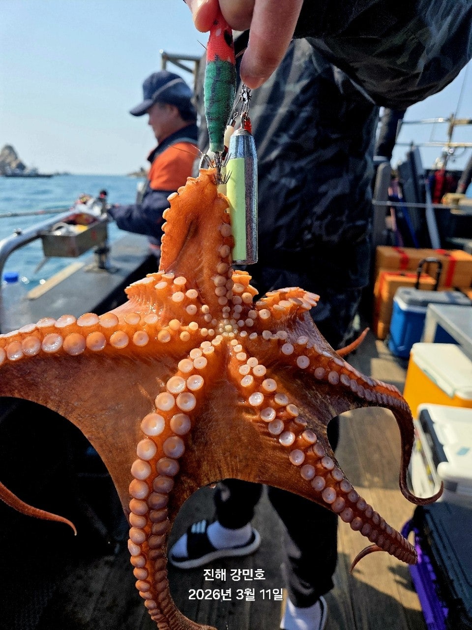 ����ڰ� �ø� �̹���