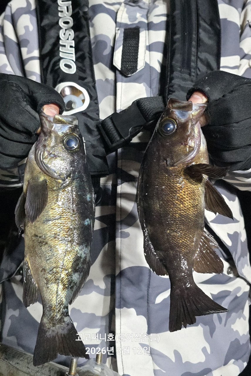 ����ڰ� �ø� �̹���