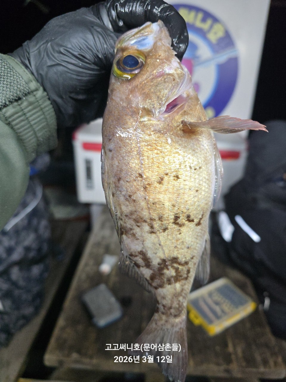 ����ڰ� �ø� �̹���