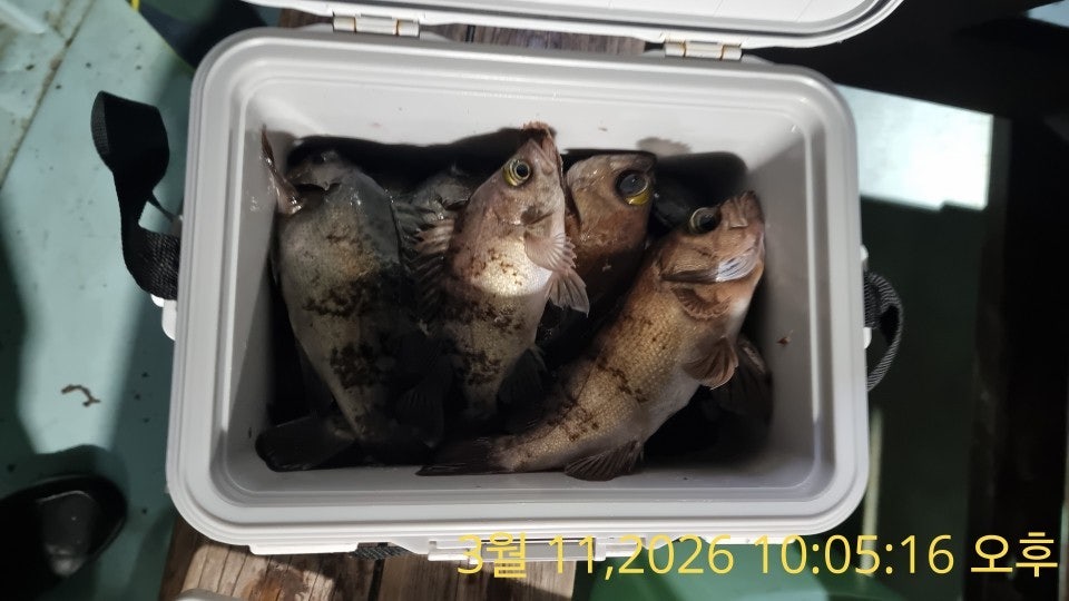 ����ڰ� �ø� �̹���