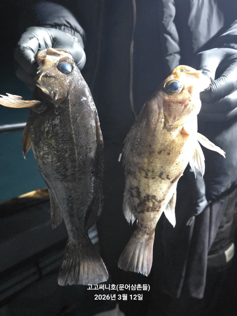 ����ڰ� �ø� �̹���