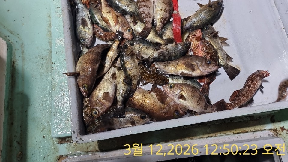 ����ڰ� �ø� �̹���