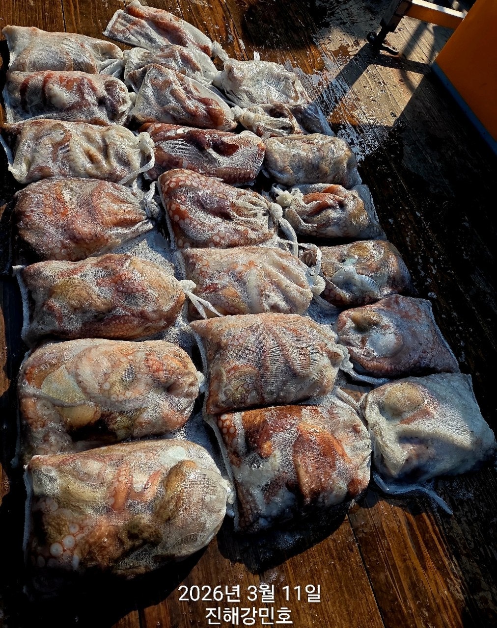 ����ڰ� �ø� �̹���