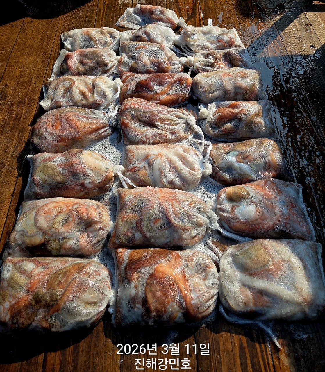 ����ڰ� �ø� �̹���