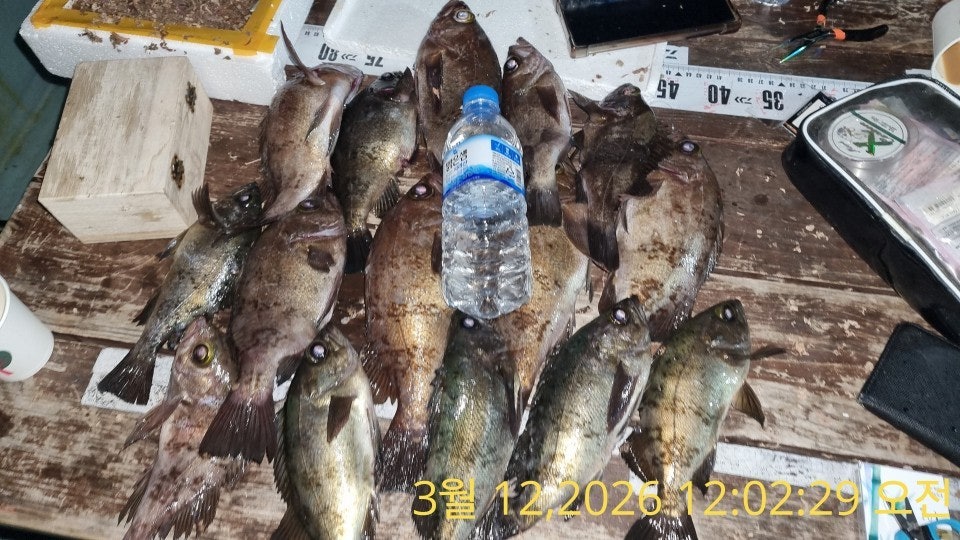 ����ڰ� �ø� �̹���