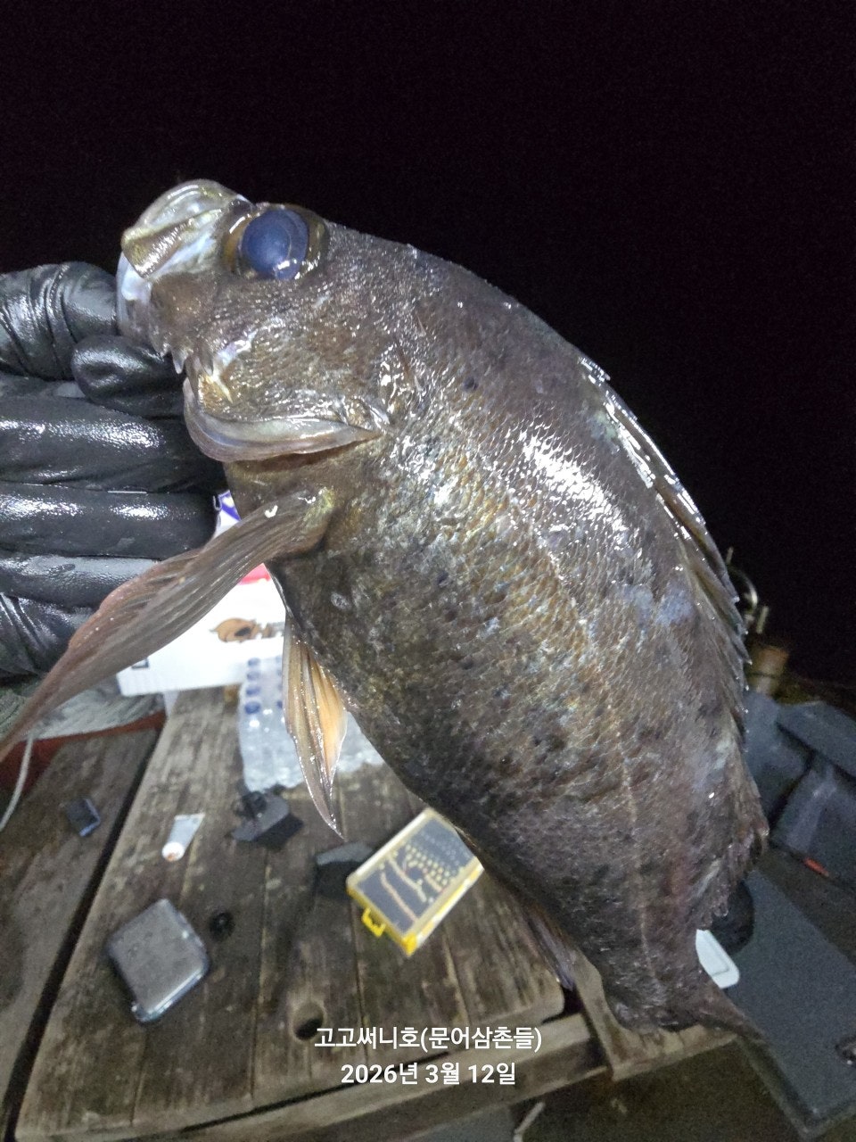 ����ڰ� �ø� �̹���