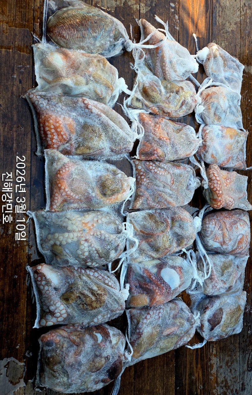 ����ڰ� �ø� �̹���